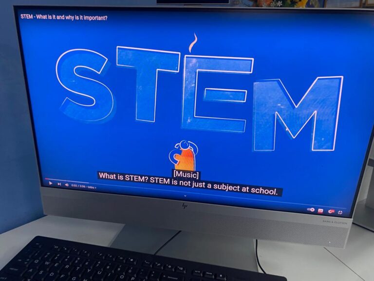 stem-1